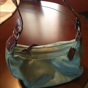 Light Green Hobo Style Purse